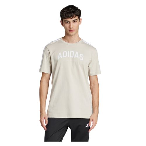 Remera Hombre adidas Collegiate Linear