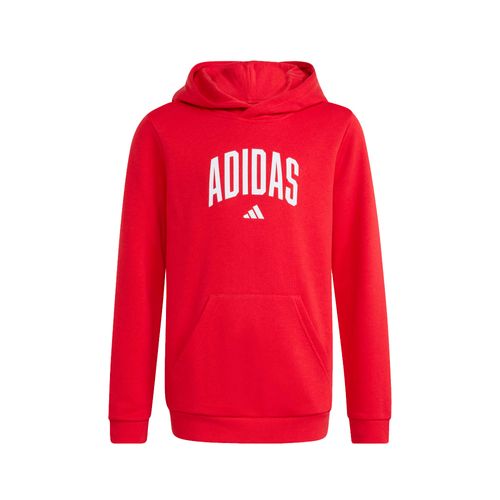 Buzo Ninos Adidas College Graphic
